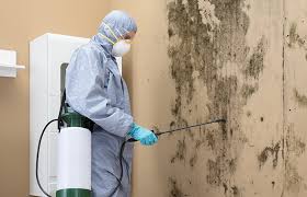 Best Emergency Mold Remediation  in Morristown, NJ